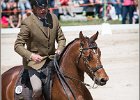 Pferd International 153